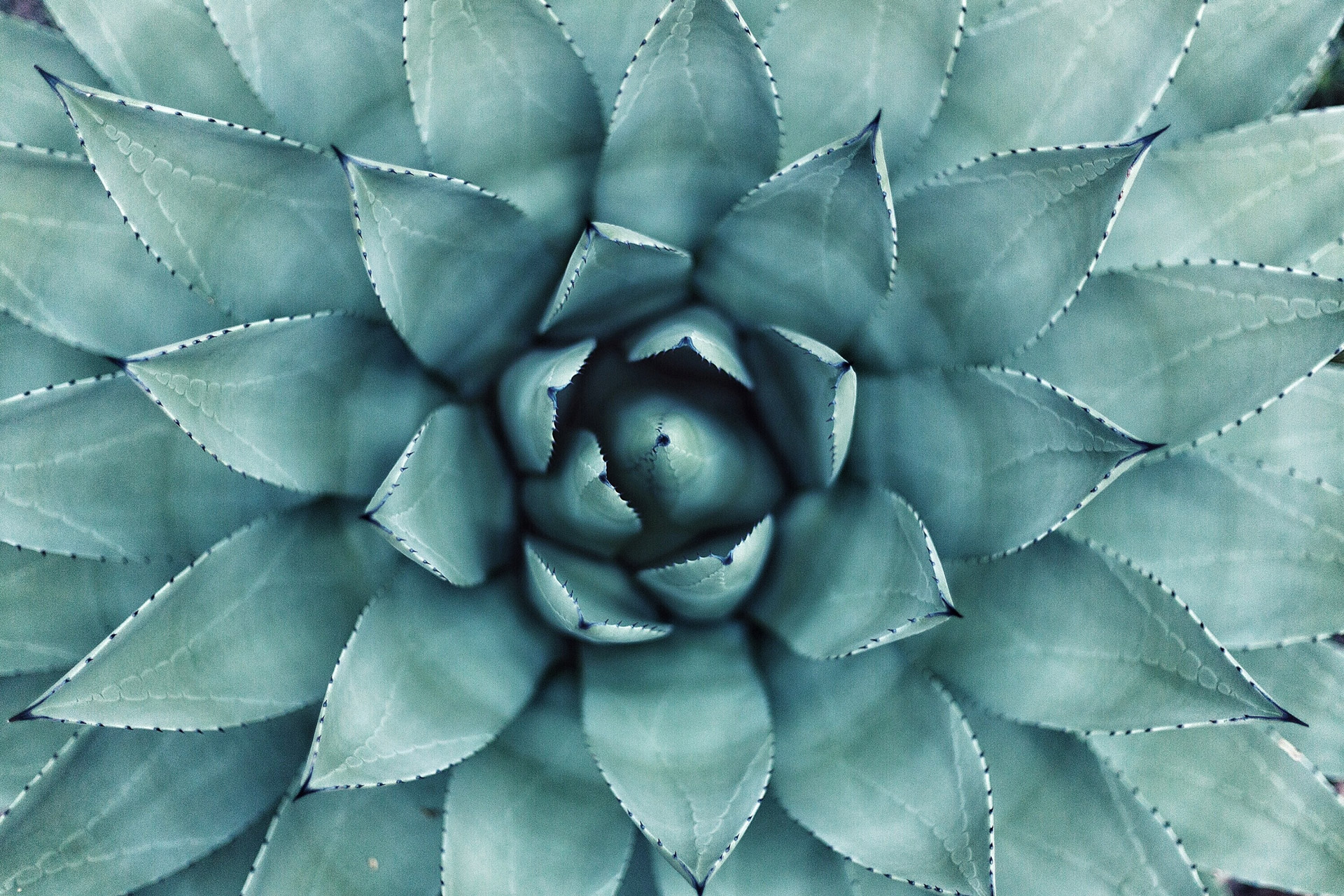 background error page